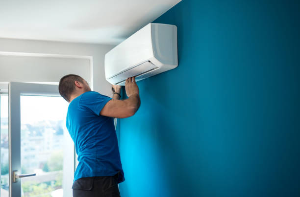 Best Ductless Mini-Split Systems in Wailuku, HI